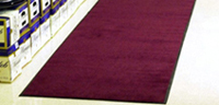 Digiprint Solid Colors
