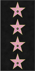 4' x 8'(45" x 95") Digiprint HD GLEAM STARS Indoor Logo Mat