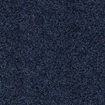 Navy Brush