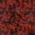 Red Heather*