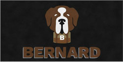 6' x 12' (68" x 143") Digiprint HD BERNARD Indoor Logo Mat