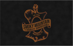 5' x 8' (58" x 95") Digiprint HD SMOKY MOUNTAIN  Indoor Logo mat