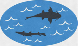 6' x 10' (68" x 118") Oval Grand Impressions HD Custom Shape SHARKS Indoor Logo Mat