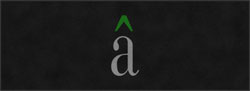 4' x 11' (45" x 130") Digiprint Classic ADELICIA Indoor Logo Mat
