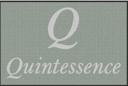 4' x 6' (45" x 69") Waterhog Inlay QUINTESSENCE  Indoor /Outdoor Logo Mat