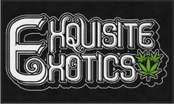 3' x 5' (35" x 58") Digiprint HD  EXQUISITE EXOTICS   Indoor Logo Mat