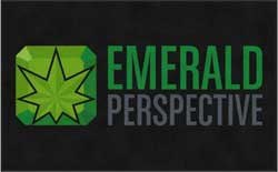 5' x 8' (58" x 95") Digiprint HD  EMERLAD PERSPECTIVE  Indoor Logo mat