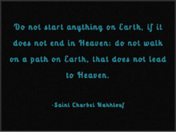 6' x 8' (70" x 96") Waterhog Impressions HD SAINT CHARBEL  Indoor/Outdoor Logo Mat