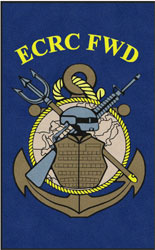 5' x 8' (58" x 95") Digiprint HD ECRC Indoor Logo mat