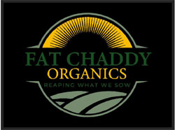 3' x 4' (35" x 45") Berber Impressions HD FAT CHADDY Indoor-Outdoor Logo Mat