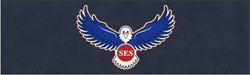 6' x 20' (68" x 236") Digiprint HD SES Indoor Logo Mat