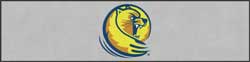 3' x 12' (35" x 143") ColorStar Impressions BURGESS  Indoor Logo Mat