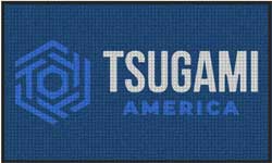 3' x 5' (35" x 59") Waterhog Inlay AMERICA Indoor | Outdoor Logo Mat