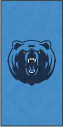 5' x 10' (59" x 119") Digiprint HD CAMBRIDGE HIGH SCHOOL  Indoor Logo mat