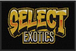 2' x 3' (24" x 35") Waterhog Impressions HD SELECT EXOTICS Indoor-Outdoor Logo Mat