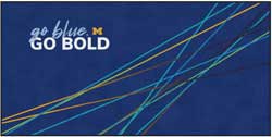 6' x 12' (68" x 143") Digiprint HD GO BOLD  Indoor Logo Mat