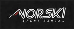 4' x 10'(45" x 119") Digiprint HD NORSKI  Indoor Logo Mat