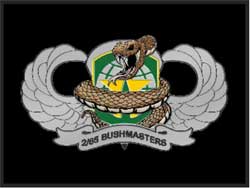 3' x 4' (35" x 45") Berber Impressions HD 2/65 BUSHMASTERS  Indoor-Outdoor Logo Mat