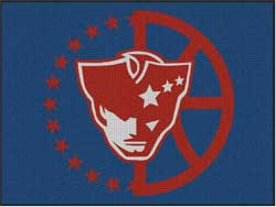 6' x 8' (70" x 95") Waterhog Inlay PG WBB  Indoor/Outdoor Logo Mat