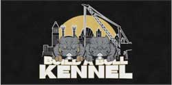 4' x 8' (45" x 95") Digiprint HD BUILD A BULL Indoor Logo Mat