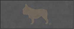 4' x 10'(45" x 119") Digiprint HD OTIS Indoor Logo Mat
