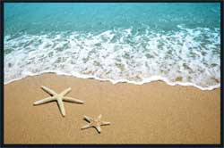 4' x 6' (45" x 69") Floor Impressions BEACH  Rubber Logo Mat