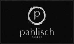 3' x 5' (35" x 58") Waterhog Impressions HD PAHLISH  Indoor/Outdoor Logo Mat