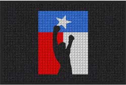 2 'x 3' (24" x 35") Waterhog Inlay TEXAS KICKBOXING Indoor/Outdoor Logo Mat