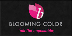 4' x 8' (45" x 95") ColorStar Impressions  BLOOMING COLOR  Indoor Logo Mat