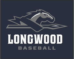 8' X 10' Berber  Roll Goods LONGWOOD BASEBALL Indoor /Outdoor Logo Mat