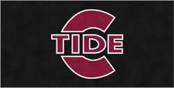 6' x 12' (68" x 143") Colorstar Impressions  TIDE  Indoor Logo Mat