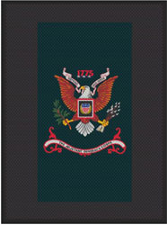 6' x 8' (70" x 95") Superscrape Impressions AGC EAGLE  Rubber Logo Mat