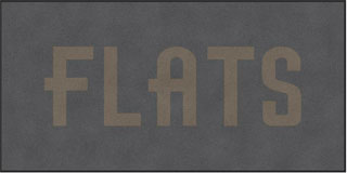 6' x 12' (68" x 142") Digiprint HD FLATS Indoor Logo Mat