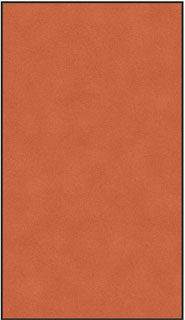 6' x 10'6" (69" x 122") Digiprint HD COMMON NOOK Indoor Solid Color -D4